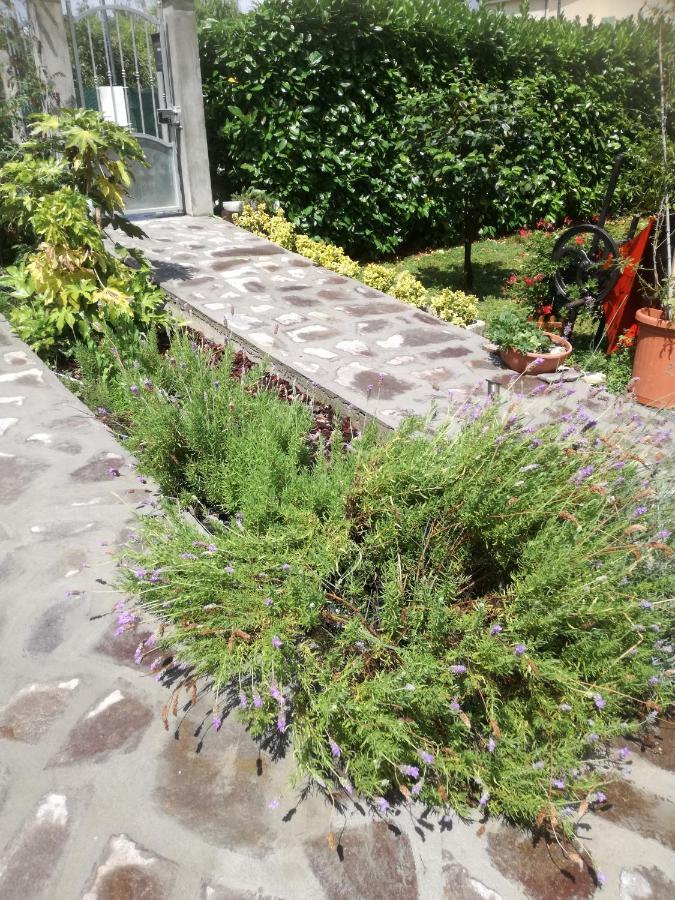 B&B La Damigiana Fioì Piano di Follo Exterior foto