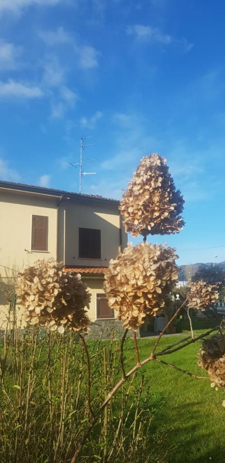 B&B La Damigiana Fioì Piano di Follo Exterior foto